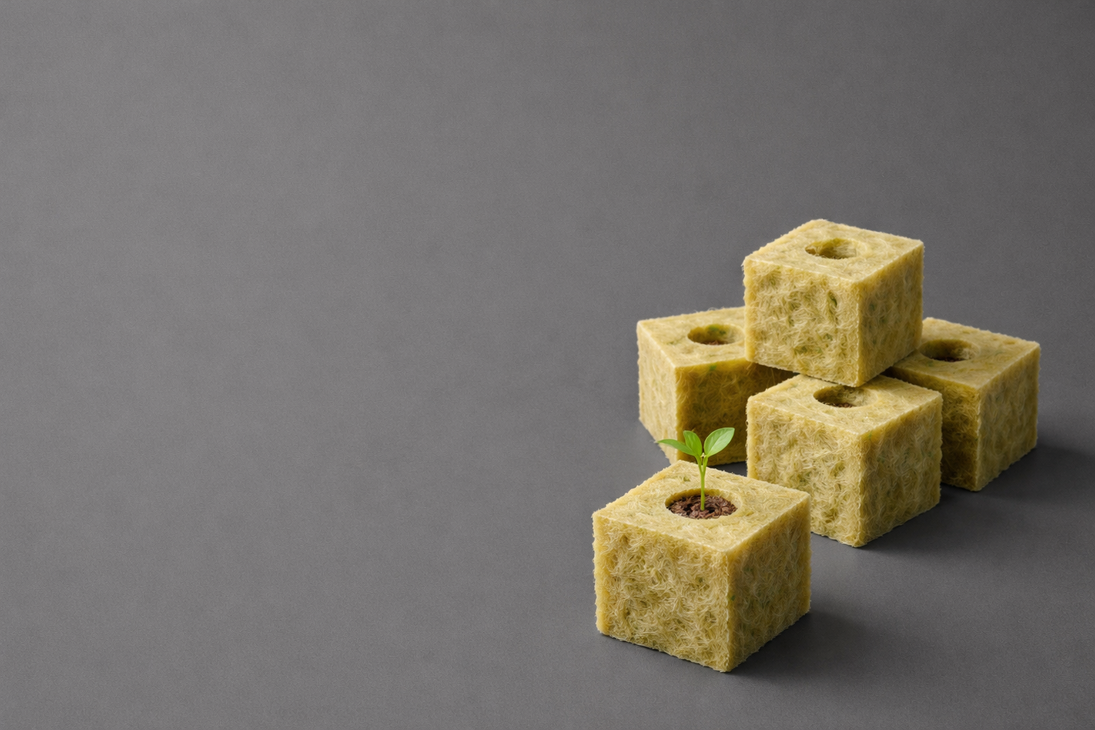 cubos de lana de roca hidroponia peru